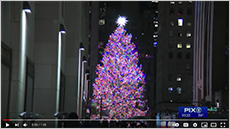 Rockefeller Center Tree