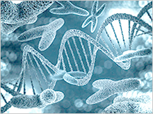 Chromosome illustration